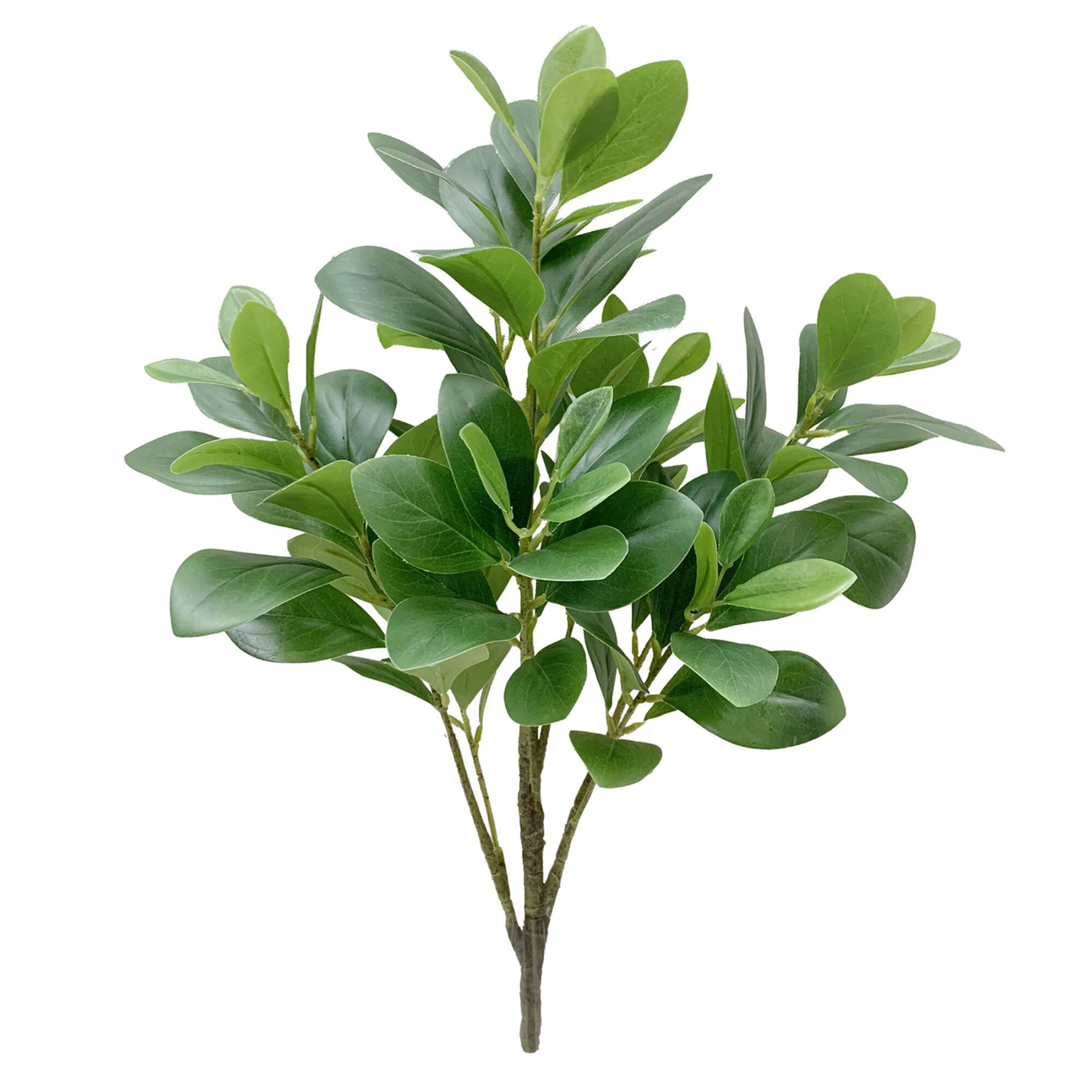 21" Green Watercress Bush by Ashland®
